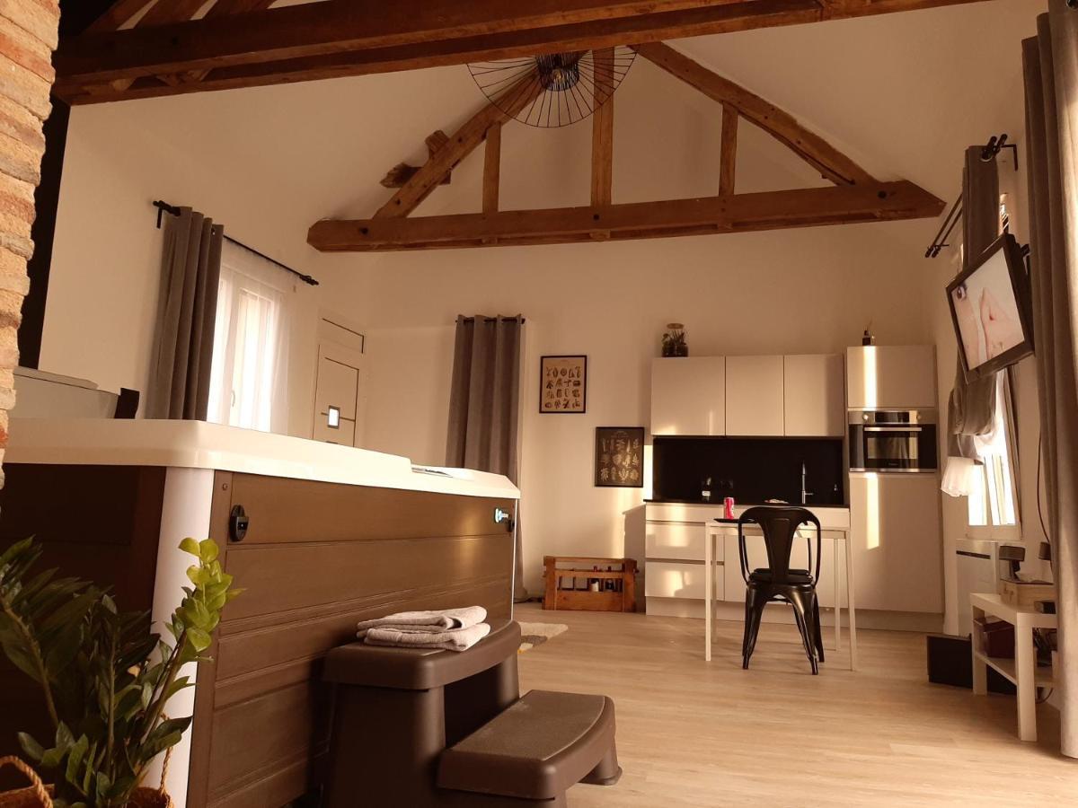 Eaudyssee Maison Avec Spa Privee - Loiret Ladon Zewnętrze zdjęcie