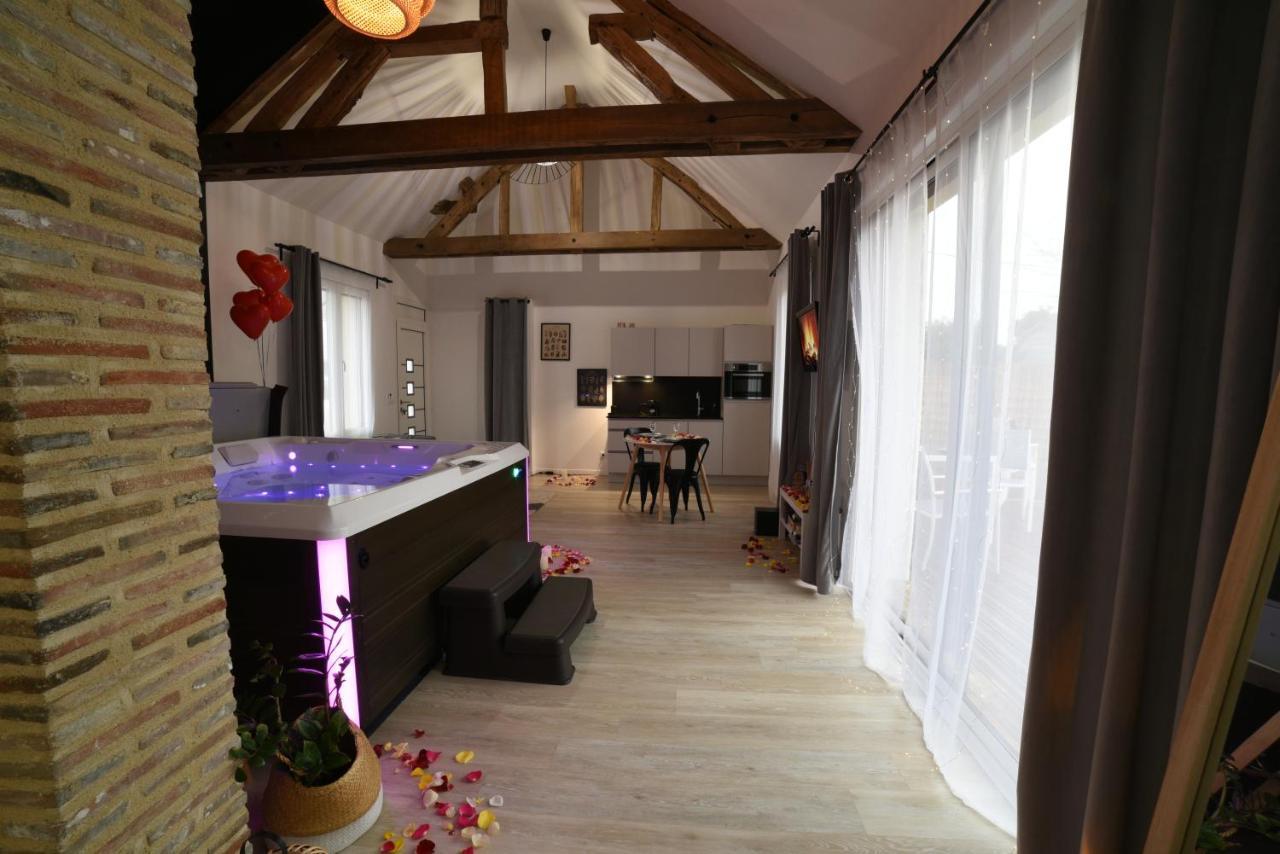 Eaudyssee Maison Avec Spa Privee - Loiret Ladon Zewnętrze zdjęcie